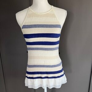 White House Black Market Blue and Cream Striped Tank Top